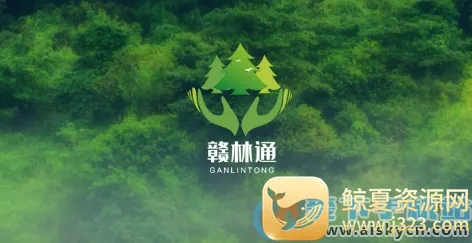 赣林通2025官方正版 赣林通2025官方正版