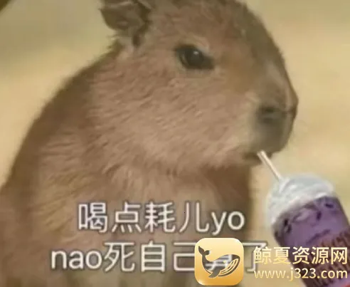 ������ͼDIY2025�ٷ����°汾