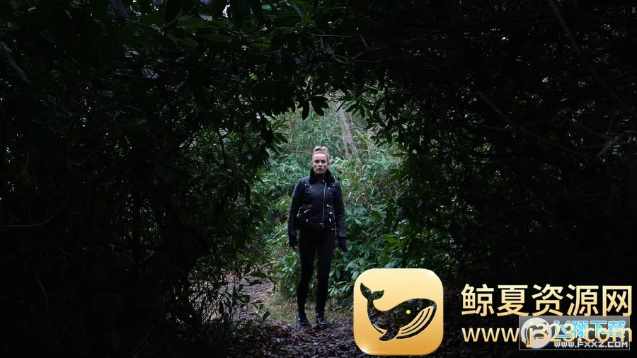 往日阴云(惊悚冒险游戏) 往日阴云(惊悚冒险游戏)