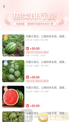 һ��һƷ2026���°汾