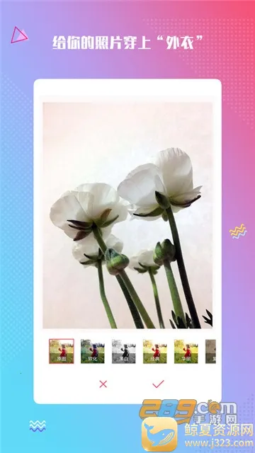ħ�������