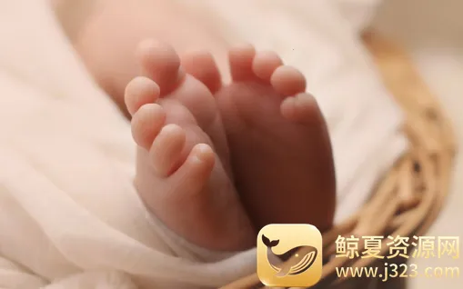 诗词起名2026下载安装 诗词起名2026下载安装