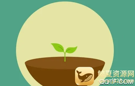 Forest רעɭ��