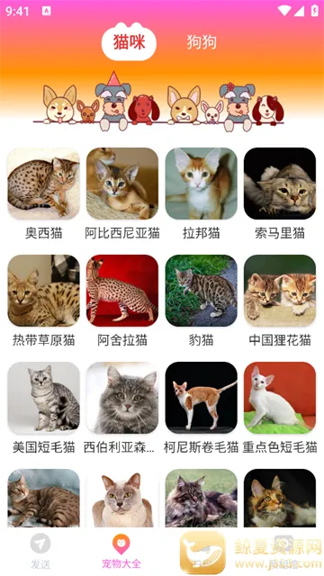 ���ܻ�������
