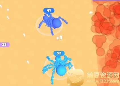 ��Ⱥ����