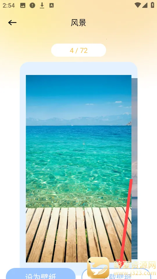 ������ֽapp