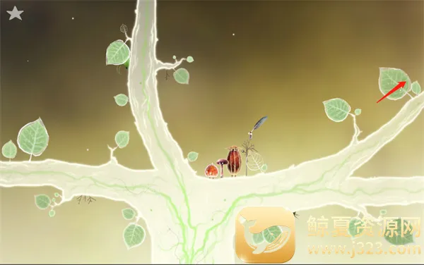 botanicula��׿�ƽ������