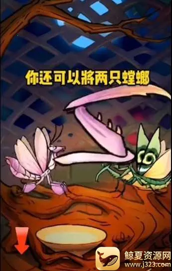 ��Ʒ����ƽ����ò˵���
