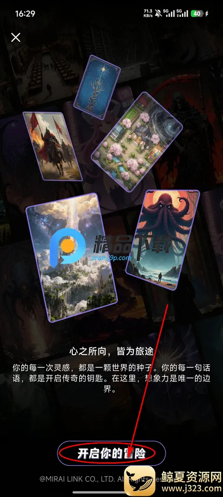 ����˿Aið��(ELY)