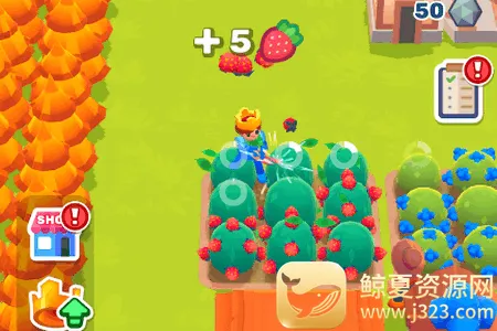 �ʼ�������ȹ��������ֻ���