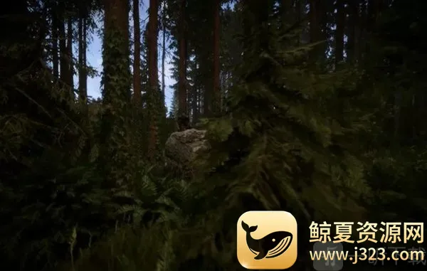 SONS OF THE FOREST