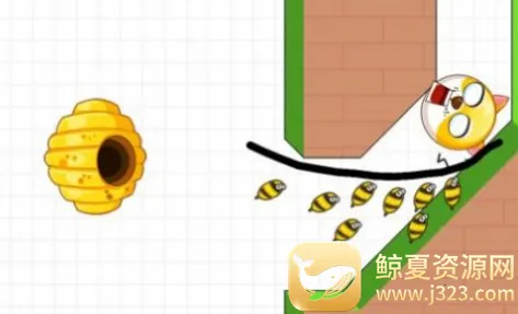 ����Ҳ���