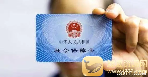 ��������2026�ٷ�����
