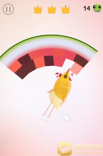 pigeon���ĸ���