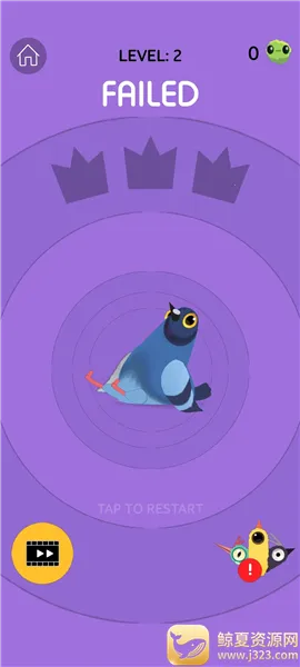 pigeon���ĸ���