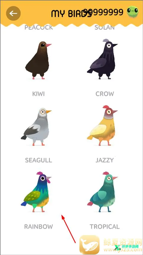 pigeon���ĸ���