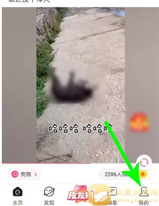 ƤƤ��Ц