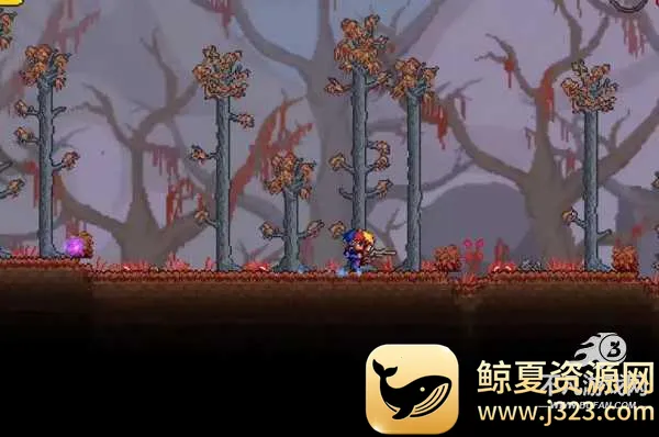 Terraria2026最新版本 Terraria2026最新版本