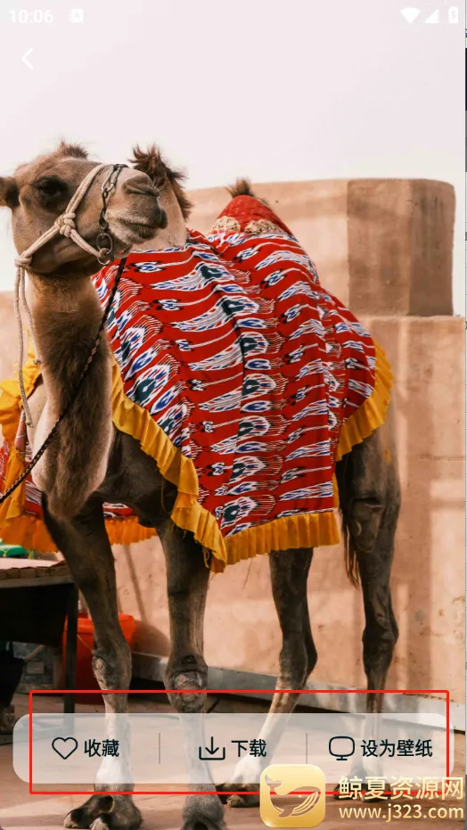 跃动壁纸最新手机版 跃动壁纸最新手机版