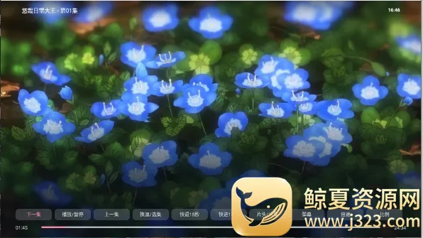 ��Ԫ�DTV(����׷��Ӧ��)