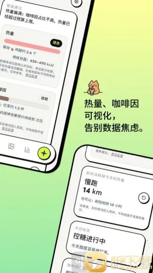 �Ⱥ�2026�ٷ����°汾
