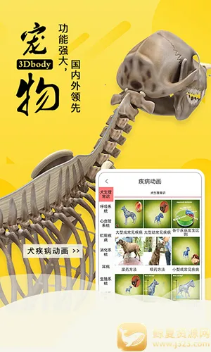 3dbody��������