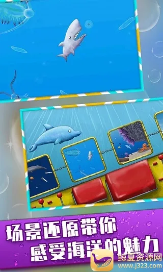 美味海洋鲨鱼版 美味海洋鲨鱼版