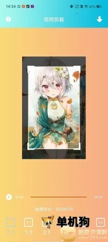 vscopro2026���°汾