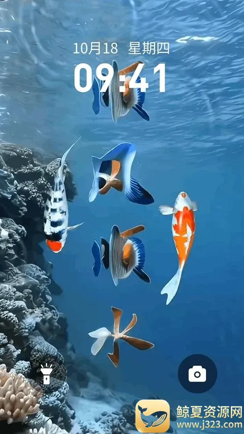 锦鲤金鱼壁纸2026下载安装 锦鲤金鱼壁纸2026下载安装