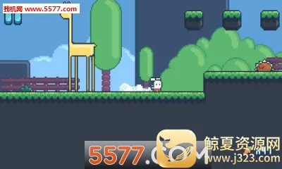 YeahBunny(����ð�մ�����Ϸ)