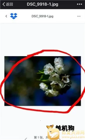 dropbox2026���°汾