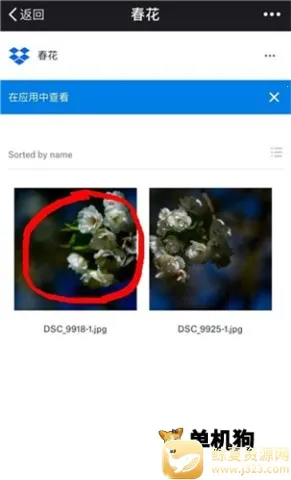 dropbox2026���°汾