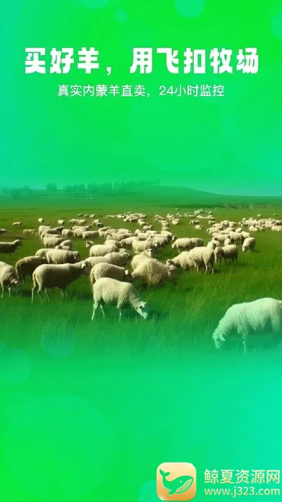 飞扣2026最新版本 飞扣2026最新版本