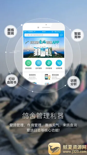 �����������ֻ���