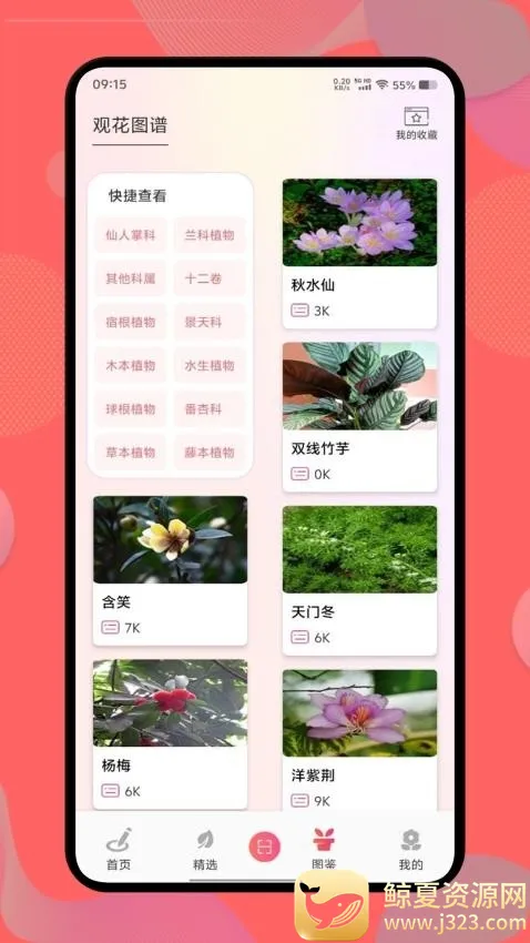 ������2026�ٷ�����