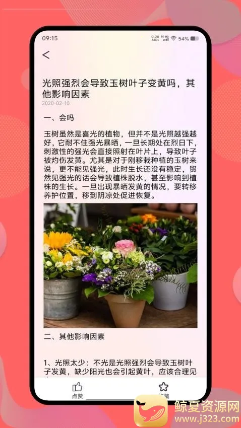 ������2026�ٷ�����