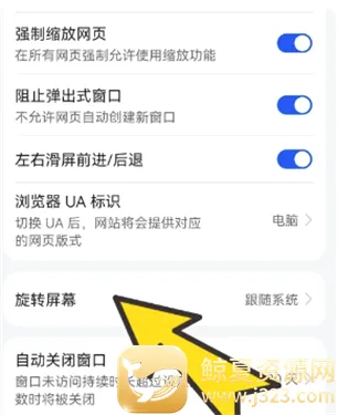 bobobrowser�������ô�򿪺���