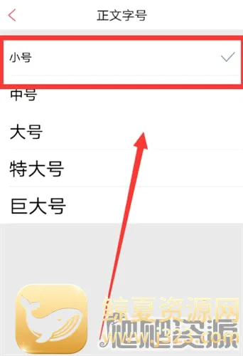 �������2026���°汾
