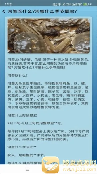 �����ֳ��׿���ֻ���