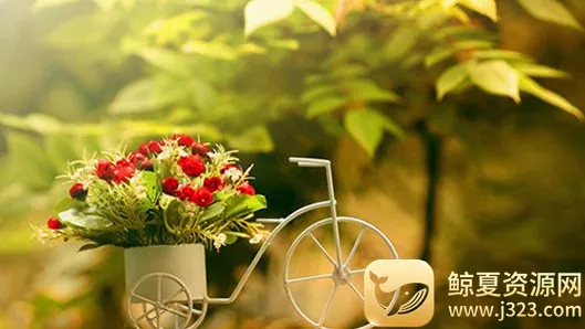 YoYo�ճ���׿���ֻ���