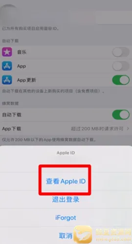 苹果应用商店AppStore(应用程序平台)