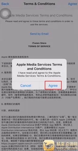 苹果应用商店AppStore(应用程序平台)