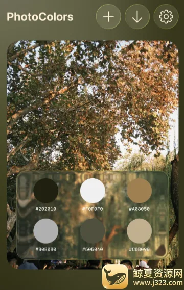 PhotoColors2026���°汾